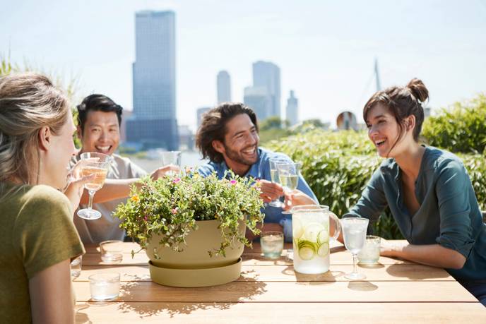 greenville bowl 33cm arena dorada